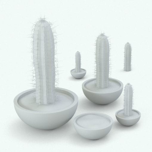 Revit Family / 3D Model - Palmeri Cactus Variations