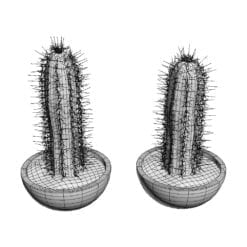 Revit Family / 3D Model - Palmeri Cactus 3D Max/FBX Wireframe