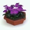 Revit Family / 3D Model - Pansies Plant Rendered in Revit