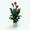 Revit Family / 3D Model - Peace Lily Plant Rendered in Revit