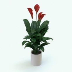 Revit Family / 3D Model - Peace Lily Plant Rendered in Revit