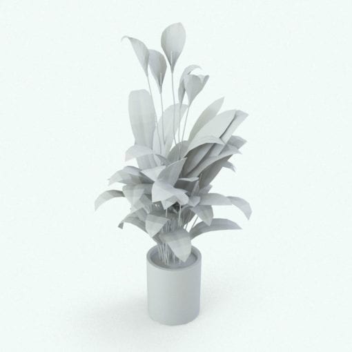 Revit Family / 3D Model - Peace Lily Perspective
