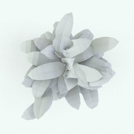 Revit Family / 3D Model - Peace Lily Top View