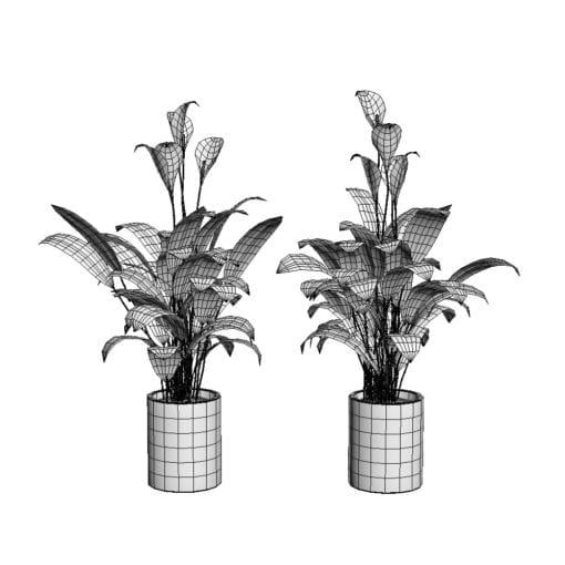 Revit Family / 3D Model - Peace Lily 3D Max/FBX Wireframe