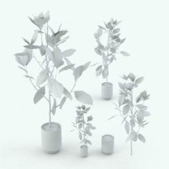 Revit Family / 3D Model - Ficus Plant 2 Variations