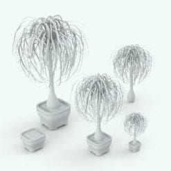 Revit Family / 3D Model - Ponytail Palm Variations