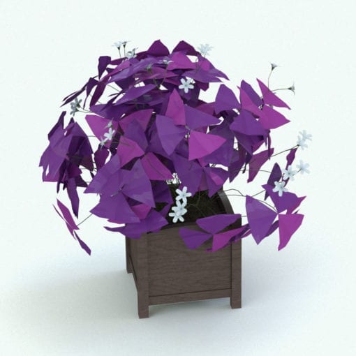 Revit Family / 3D Model - Purple Shamrock Plant Rendered in Revit