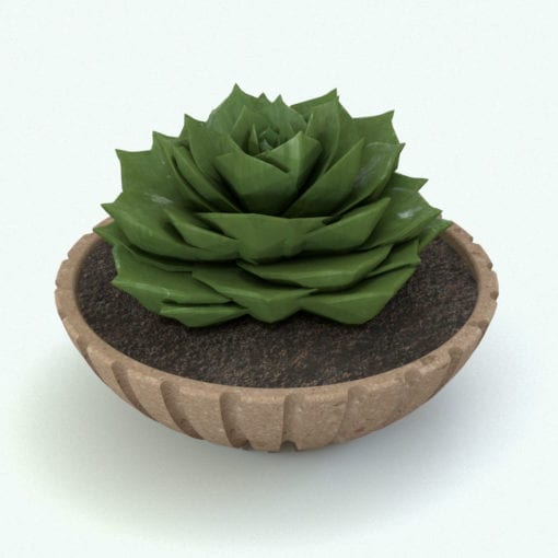 Revit Family / 3D Model - Houseleek Plant Rendered in Revit