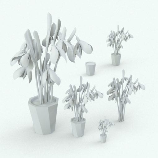 Revit Family / 3D Model - Snowdrop Variations
