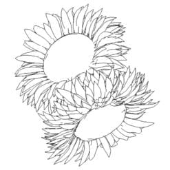 Revit Family / 3D Model - Sunflowers - Revit and AutoCAD Top View