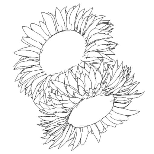 Revit Family / 3D Model - Sunflowers - Revit and AutoCAD Top View