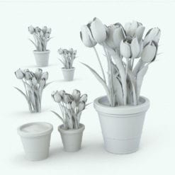 Revit Family / 3D Model - Tulips Variations