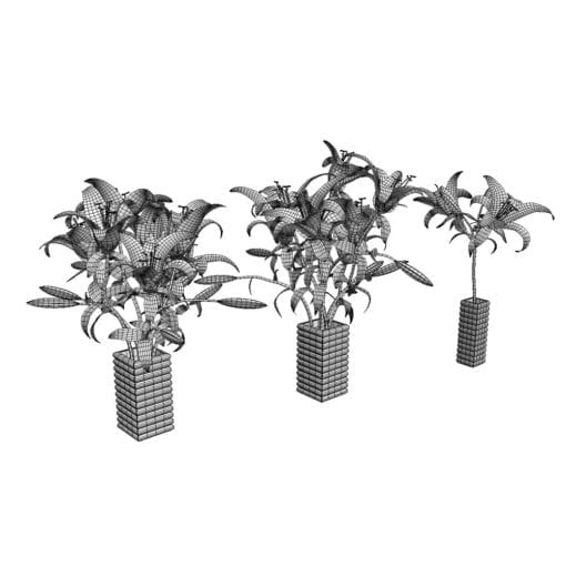 Revit Family / 3D Model - White Lilies 3D Max/FBX Wireframe