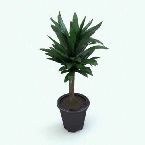 Revit Family / 3D Model - Yucca Rendered in Revit