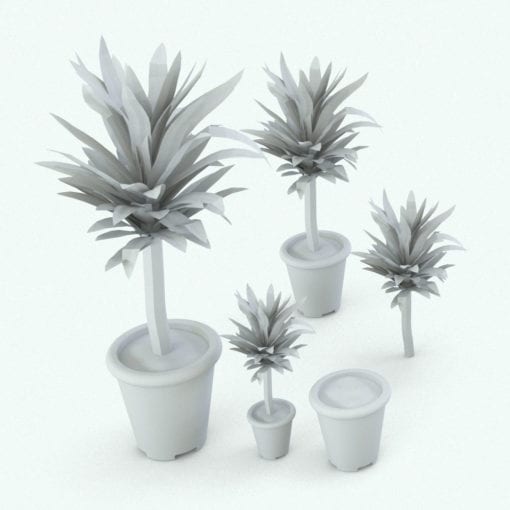 Revit Family / 3D Model - Yucca Variations